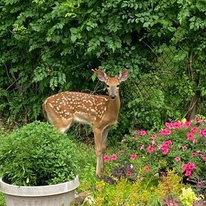 Meet your Posher, Raluca